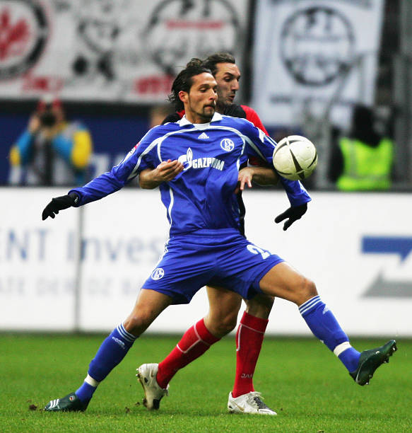 这些闪耀在 这些闪耀在